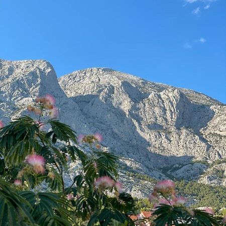 Heaven'S View Apartments Baška Voda Dış mekan fotoğraf